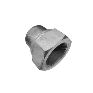 RegO A3186 - 2" F.NPT × M.NPT Back Pressure Check Valve